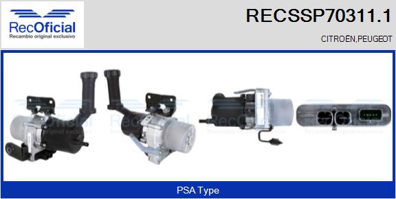 RECSSP70311.1