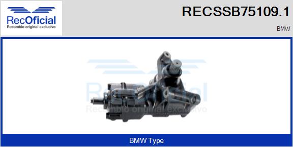 RECSSB75109.1