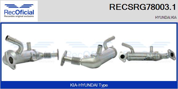 RECSRG78003.1