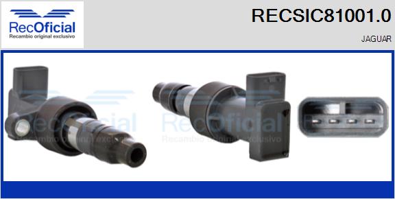RECSIC81001.0
