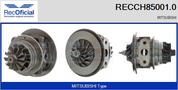 RECCH85001.0