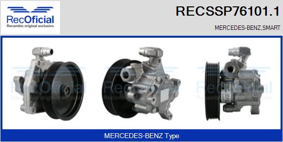 RECSSP76101.1