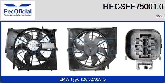 RECSEF75001.0