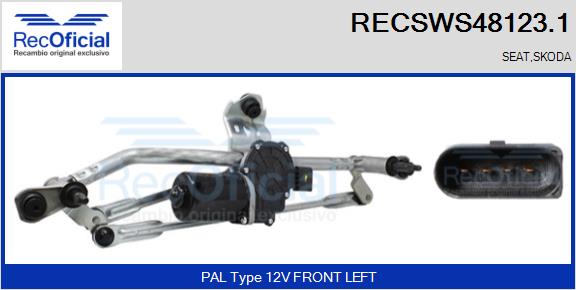 RECSWS48123.1