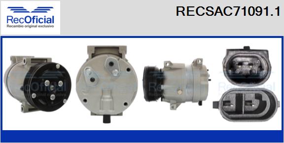 RECSAC71091.1
