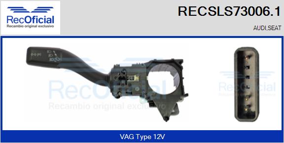 RECSLS73006.1