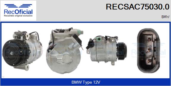 RECSAC75030.0