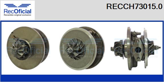 RECCH73015.0