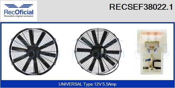 RECSEF38022.1