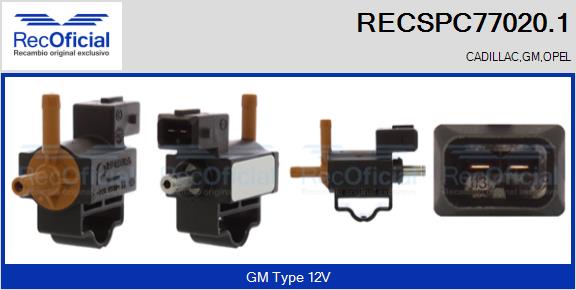 RECSPC77020.1