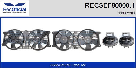 RECSEF80000.1