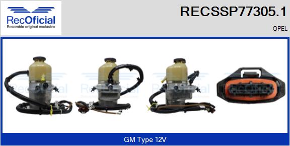 RECSSP77305.1