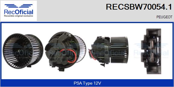 RECSBW70054.1