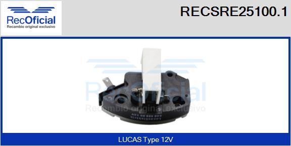 RECSRE25100.1