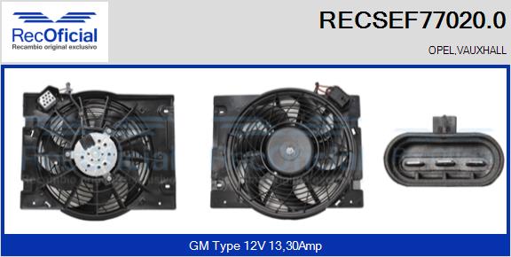 RECSEF77020.0