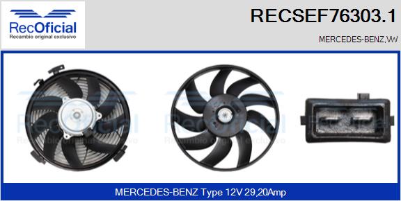 RECSEF76303.1
