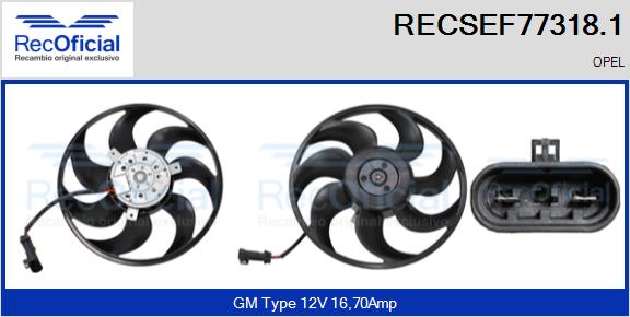 RECSEF77318.1