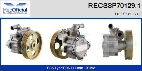 RECSSP70129.1