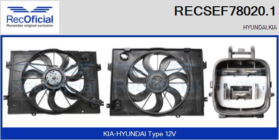 RECSEF78020.1