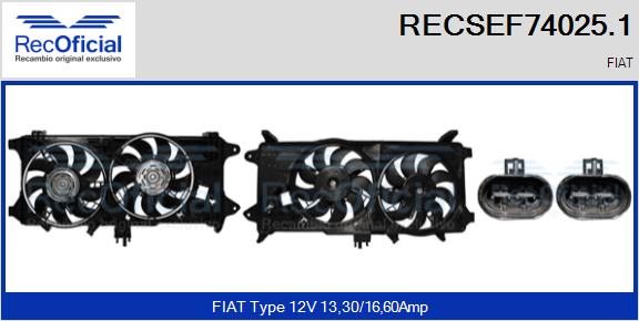 RECSEF74025.1