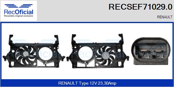 RECSEF71029.0