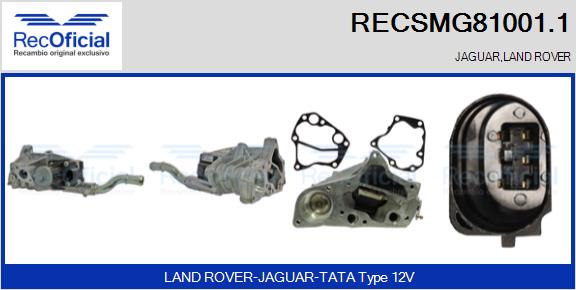 RECSMG81001.1