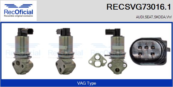 RECSVG73016.1