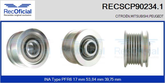 RECSCP90234.1