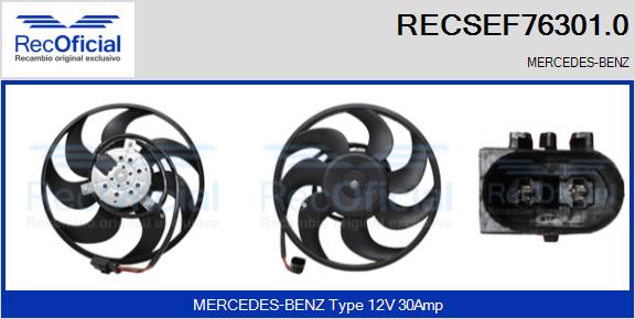 RECSEF76301.0