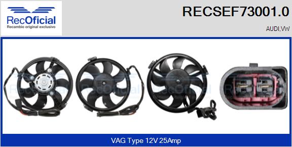 RECSEF73001.0