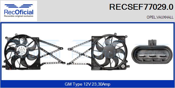 RECSEF77029.0