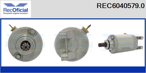 REC6040579.0