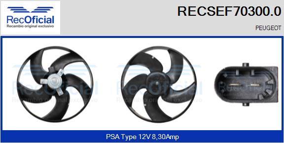 RECSEF70300.0