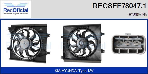 RECSEF78047.1