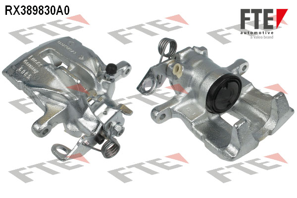 RX389830A0