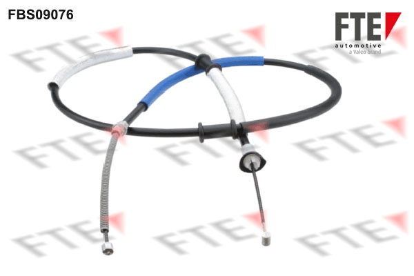 FBS09076