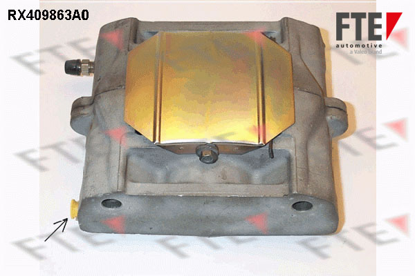 RX409863A0