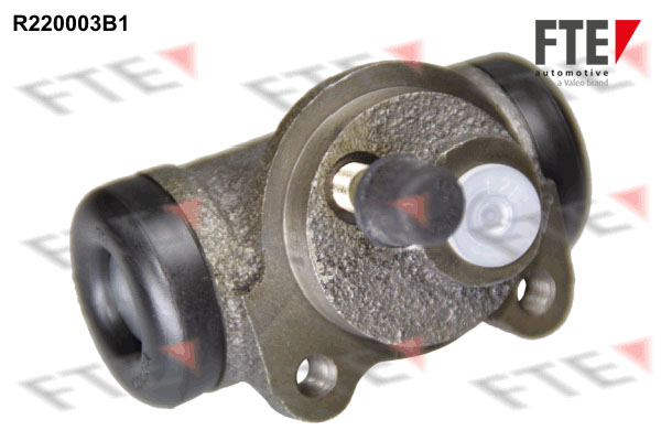 R220003B1