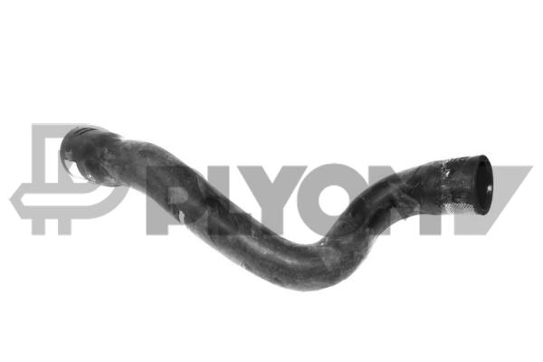P753833