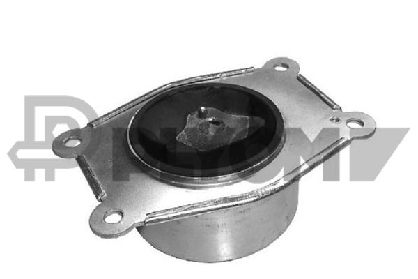 P480487