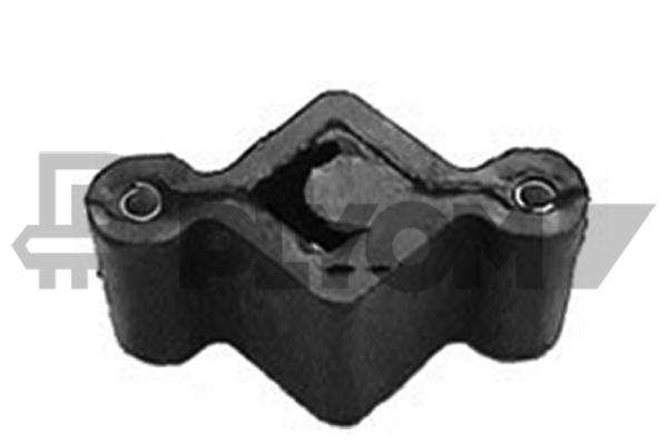 P019496