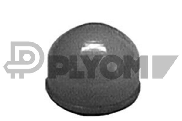 P010615