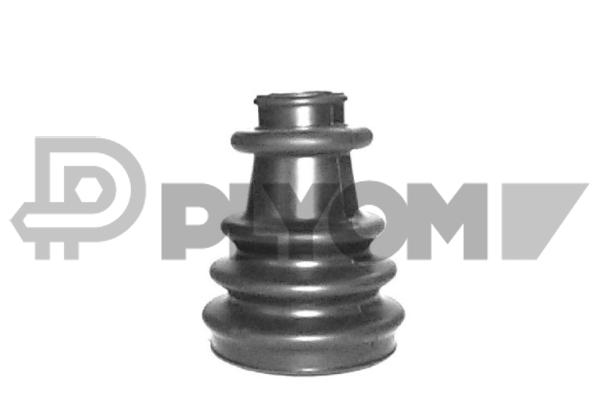 P020256