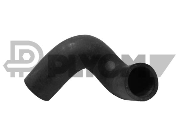 P486096