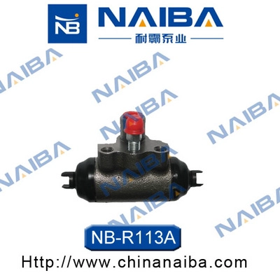 R113A