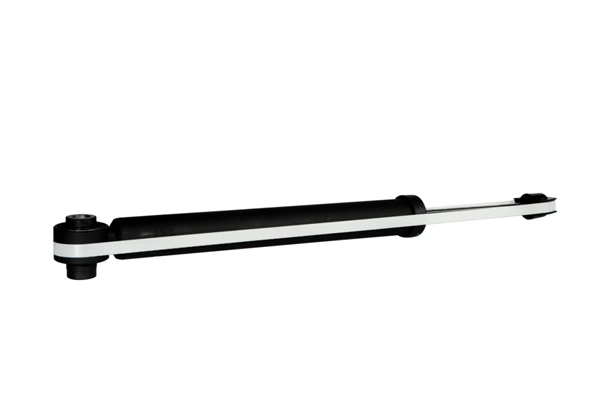 Z00393