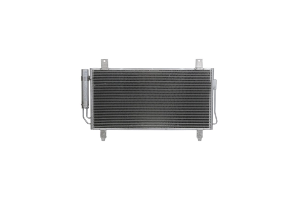Z19181
