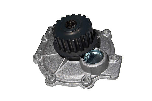 Z14528