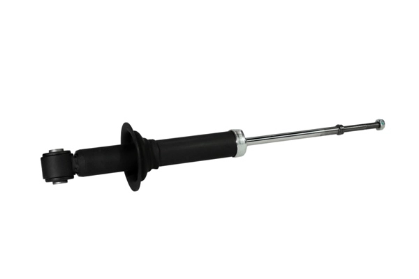 Z00304