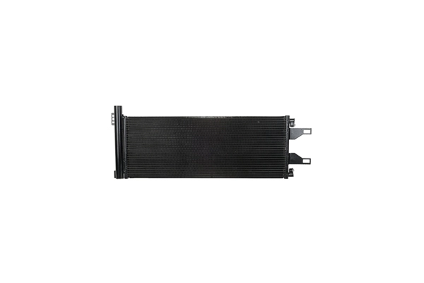 Z19250